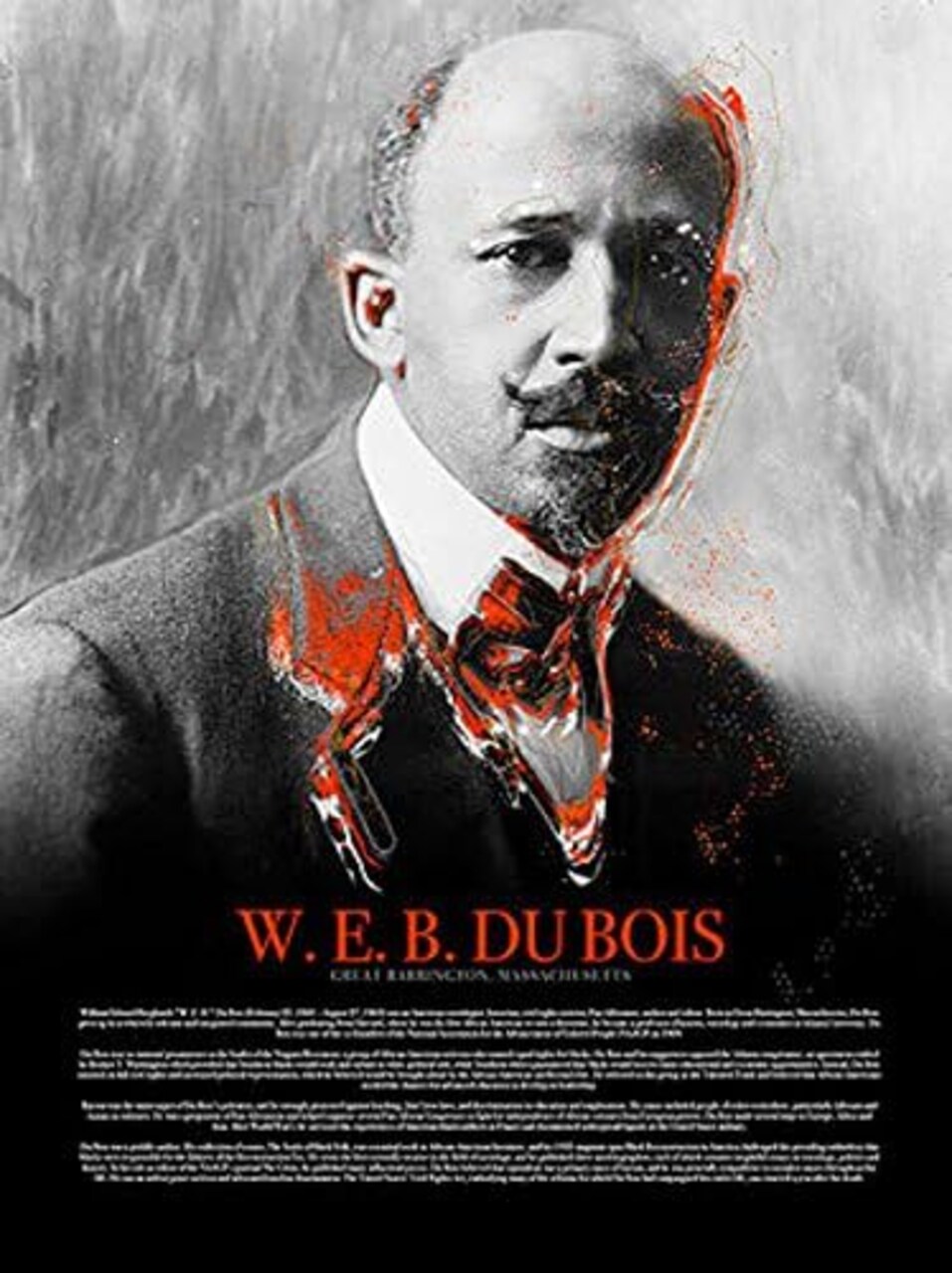 W.E.B. Du Bois Poster with Bio Black History Wall Art, 18"x24", Unframed